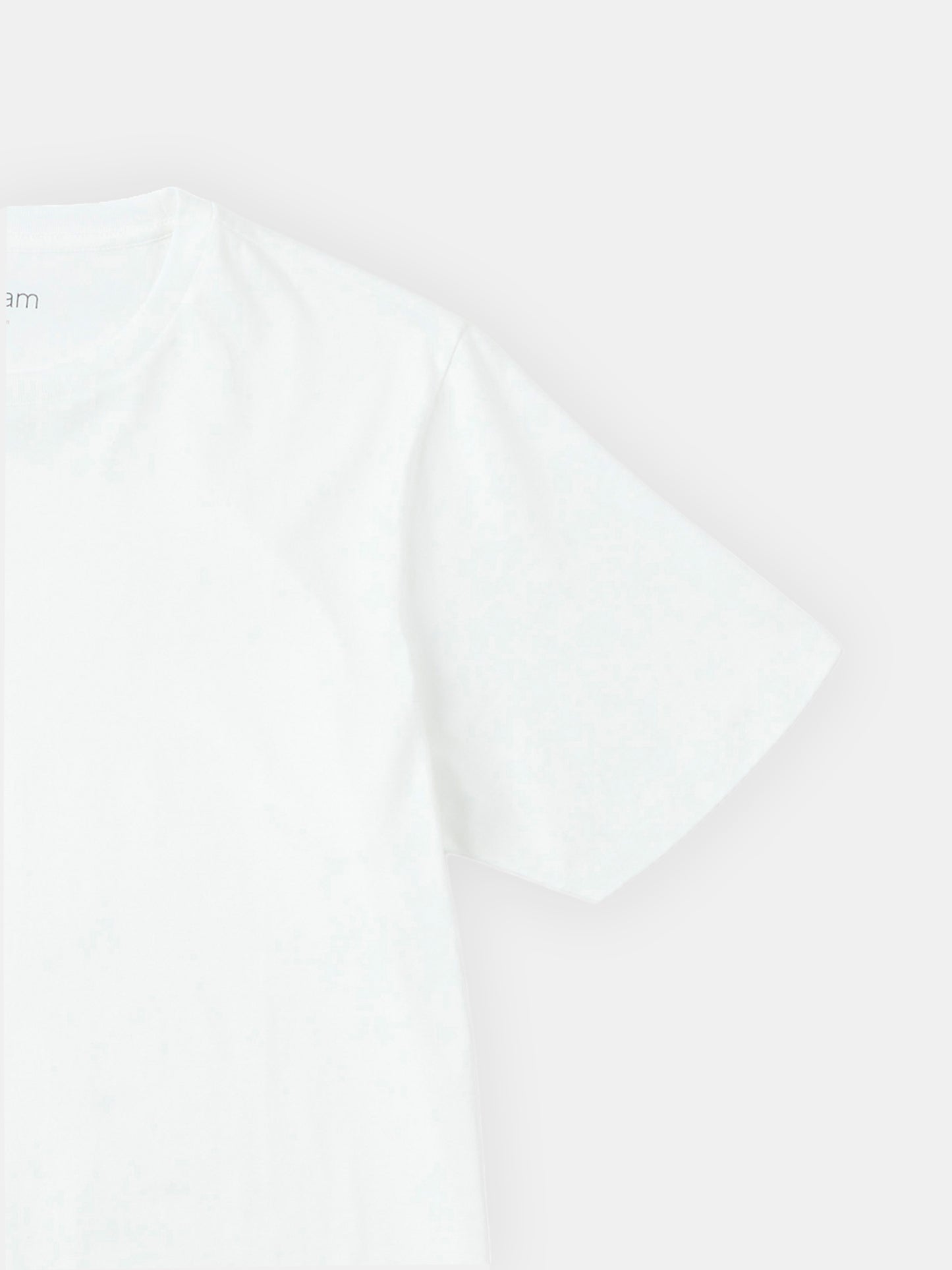 Classic T-Shirt in White