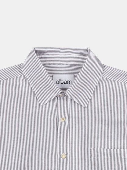 Boston Stripe Oxford Shirt in Brown/Off-White