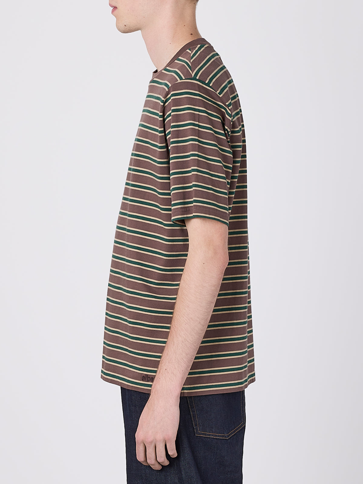 Tame Stripe T-Shirt in Walnut